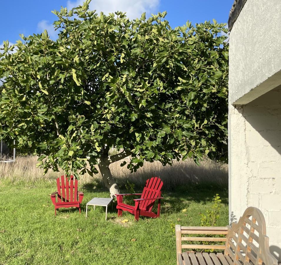 La Part Des Anges 29 - Maison D'Hotes Et Table Epicurienne Penmarcʼh Exteriör bild